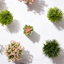 Load image into Gallery viewer, Potted Grass in Soleil