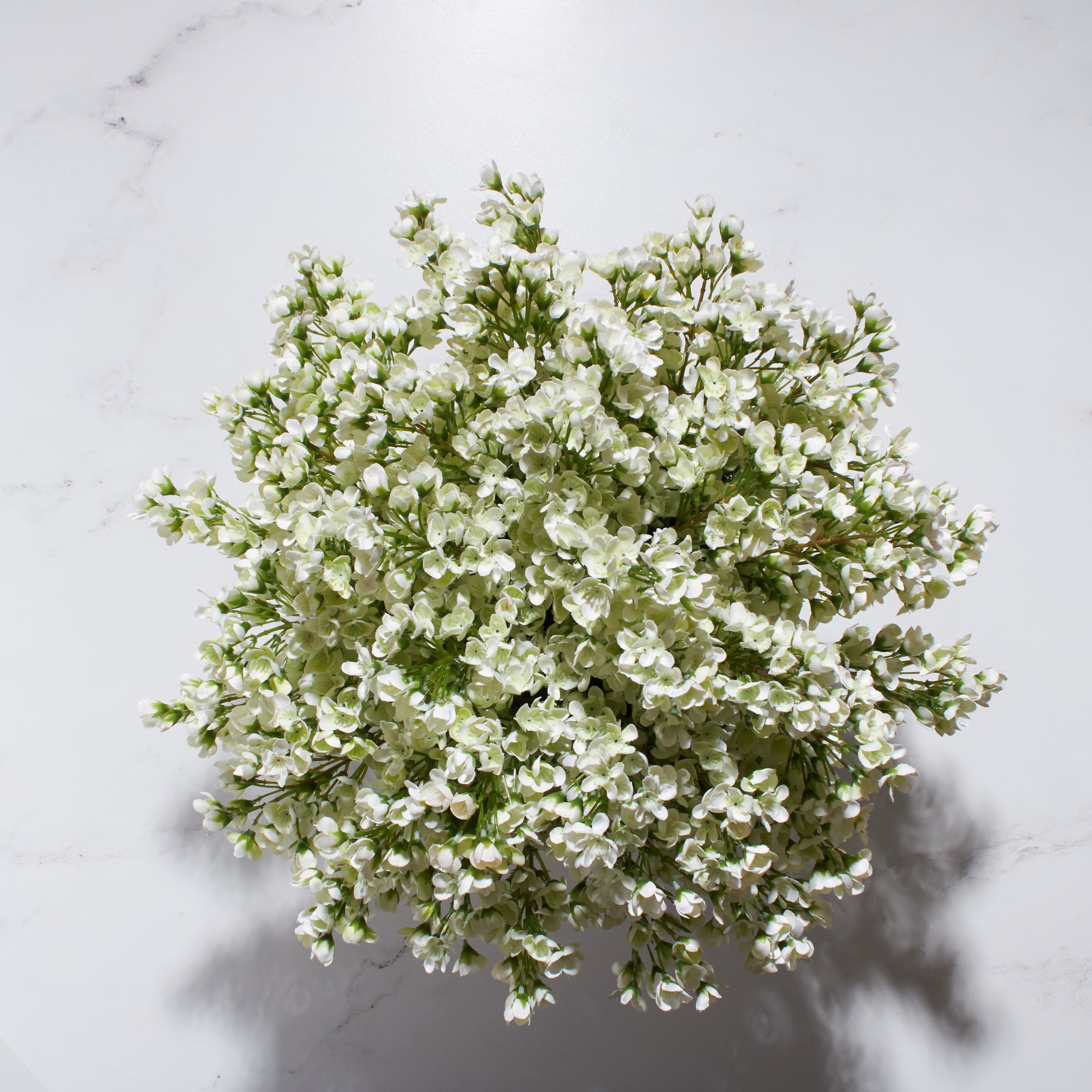 Waxflower in Footed Bowl
