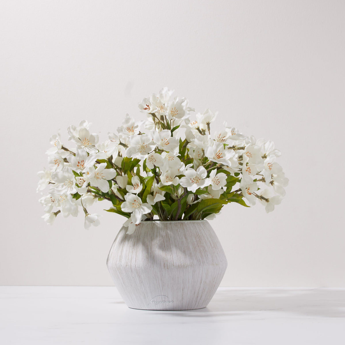 Pear Blossoms in Paulo Pot