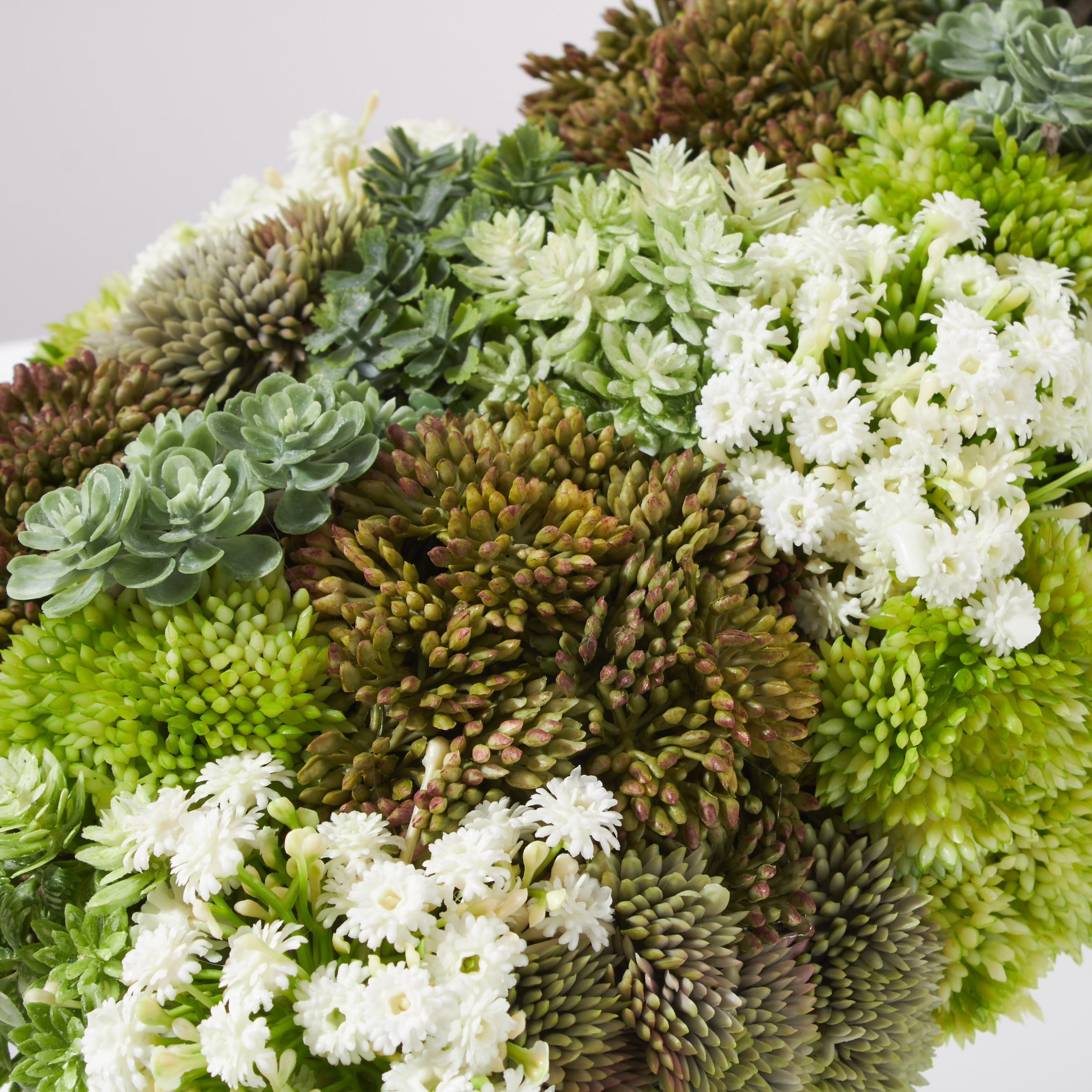 Sedum Garden- Green- White