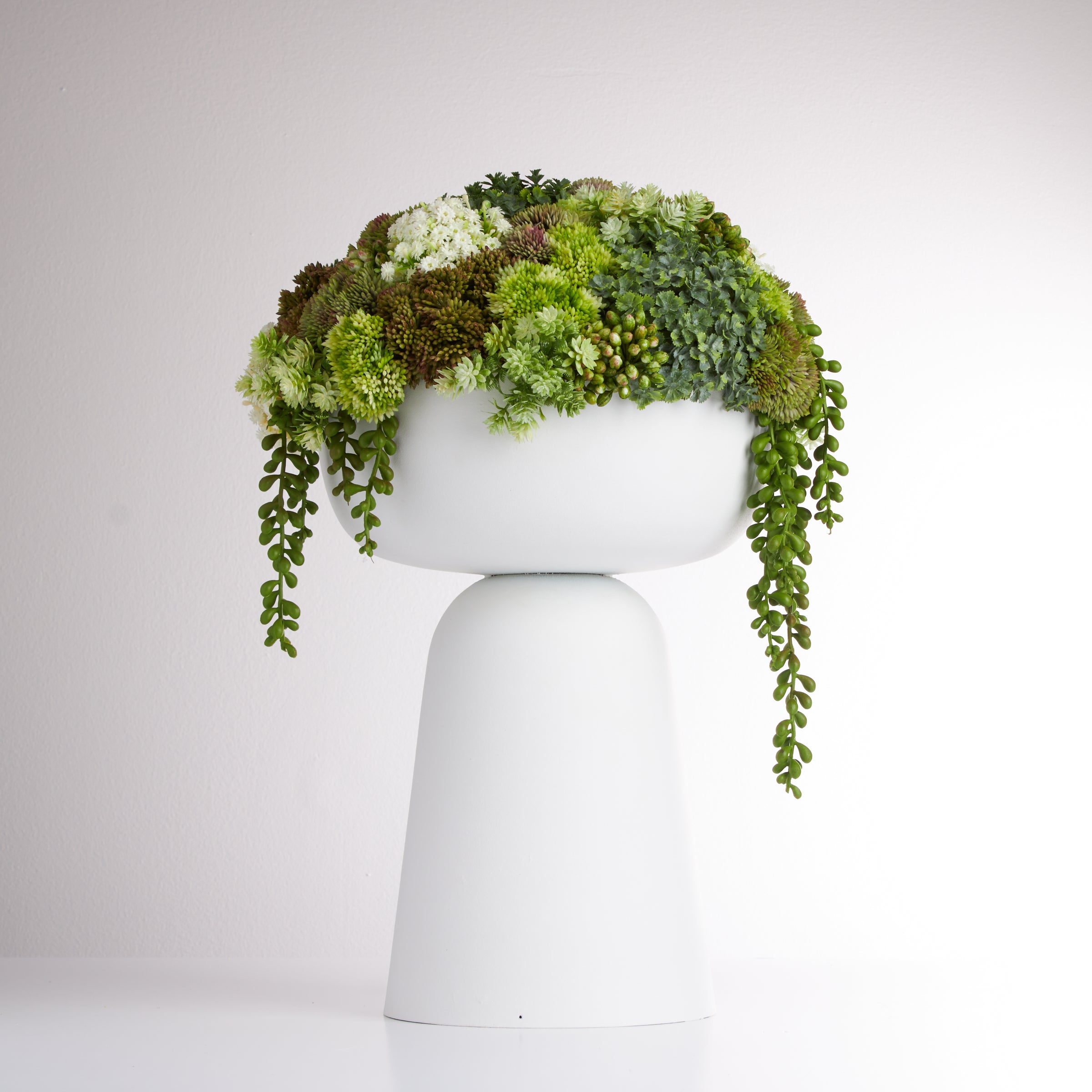 Elevate Sedum Green-White