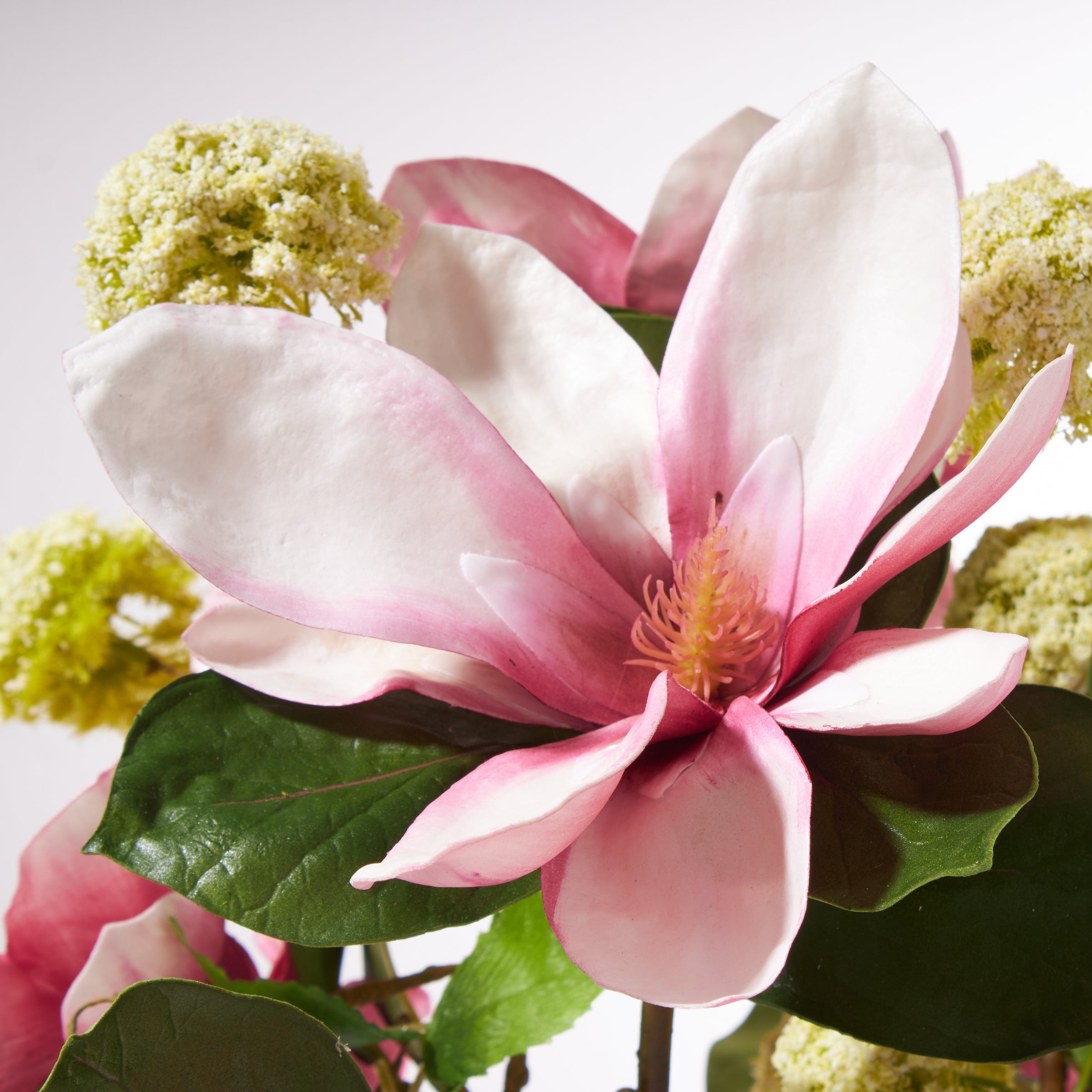 Fuchsia Magnolias and Snowballs