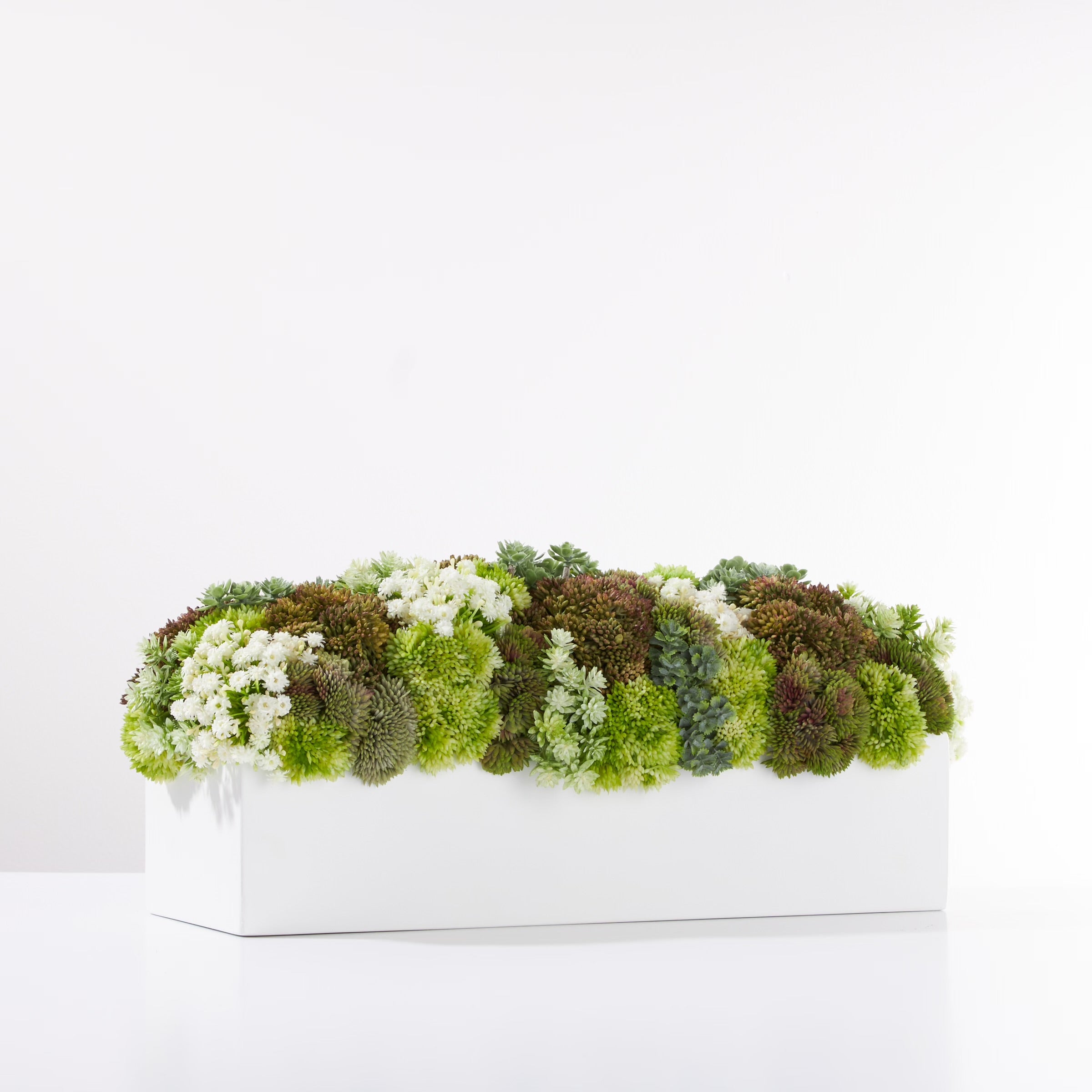 Sedum Garden- Green- White