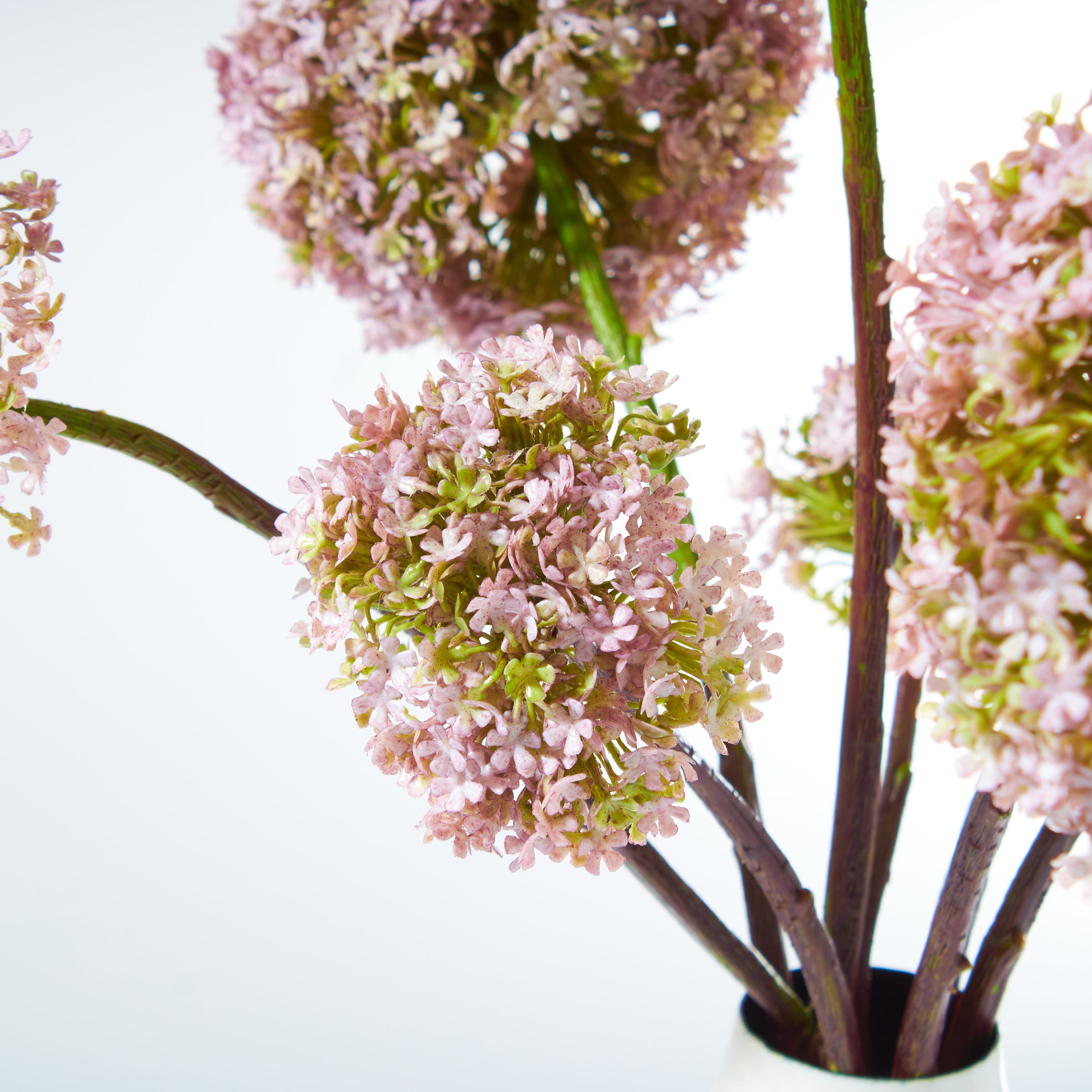 Lavender Snowballs in Enamel Vase
