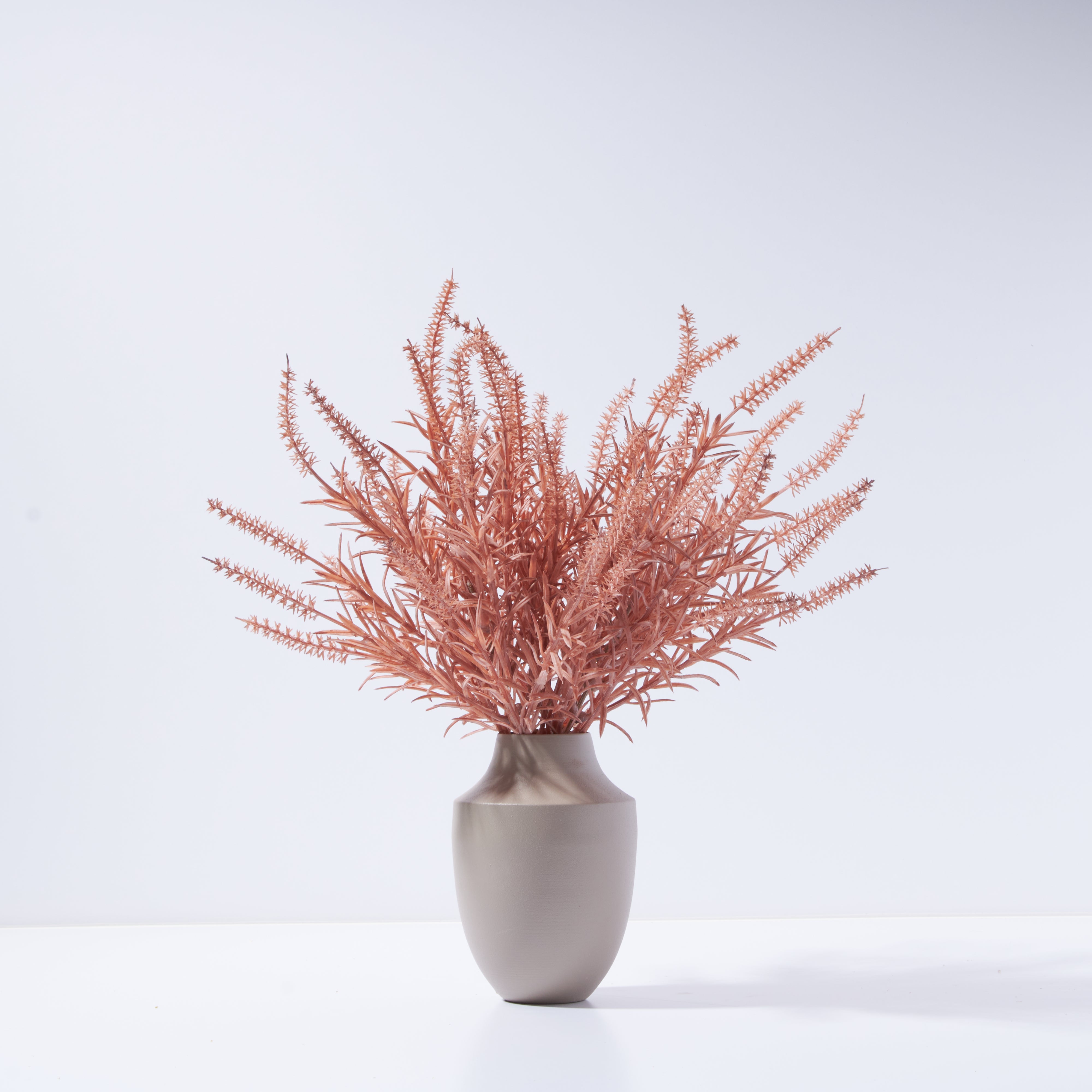 Milan Astilbe