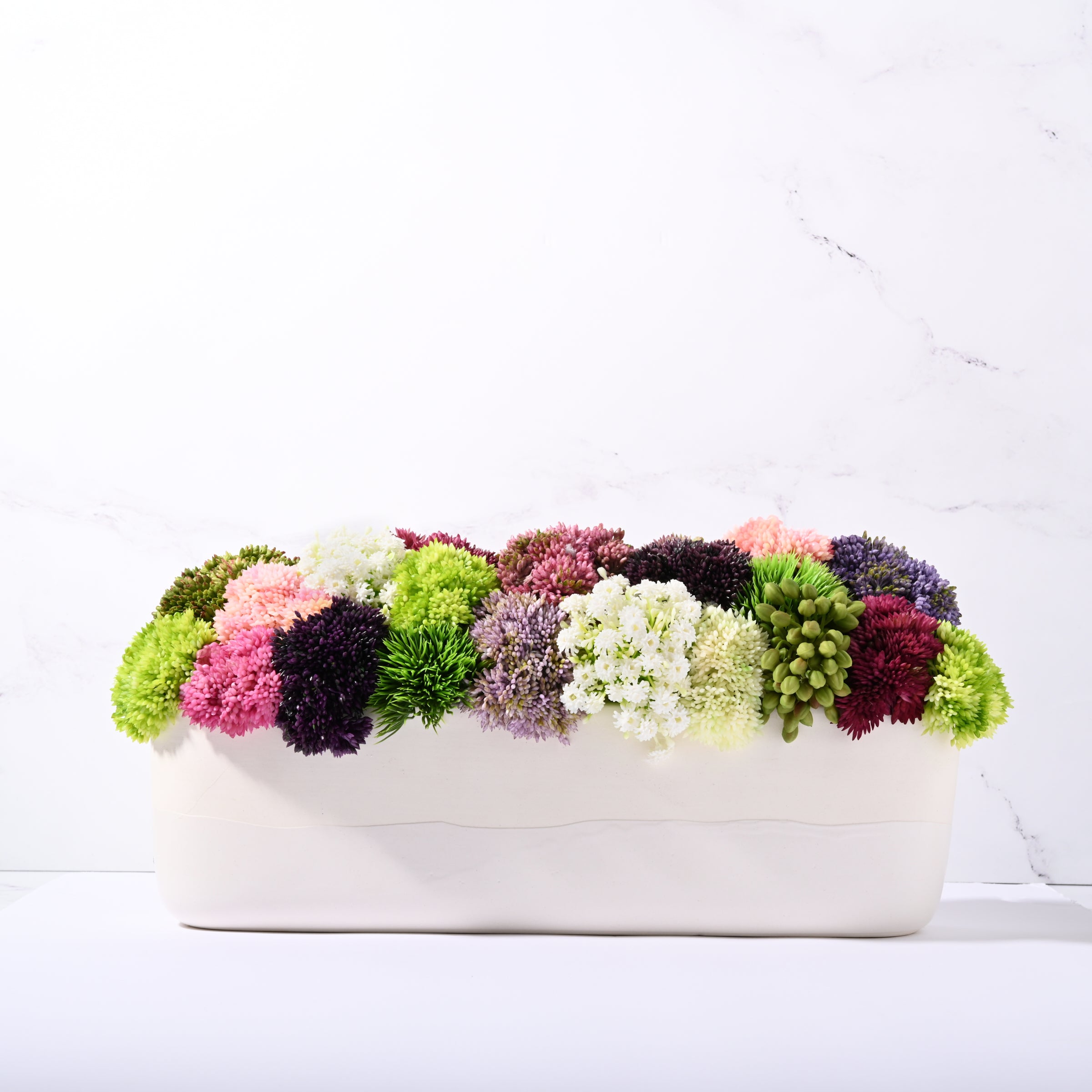 Sedum Garden