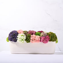 Load image into Gallery viewer, Sedum Garden   Item # 836