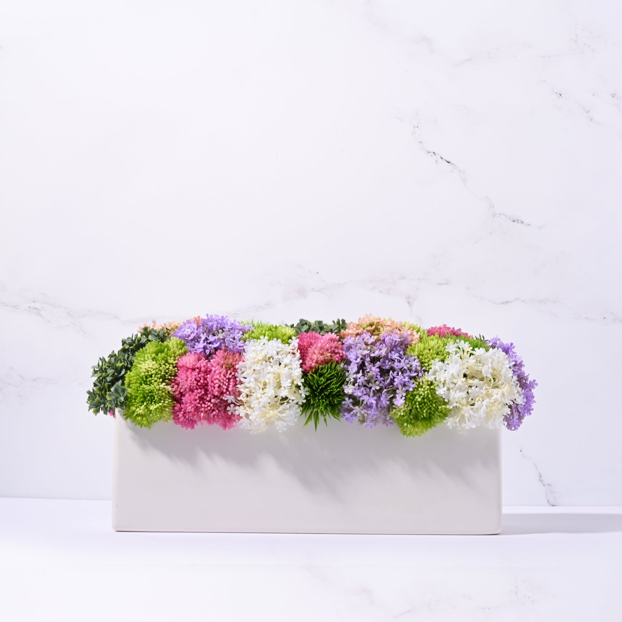 Urban Sedum - Bright
