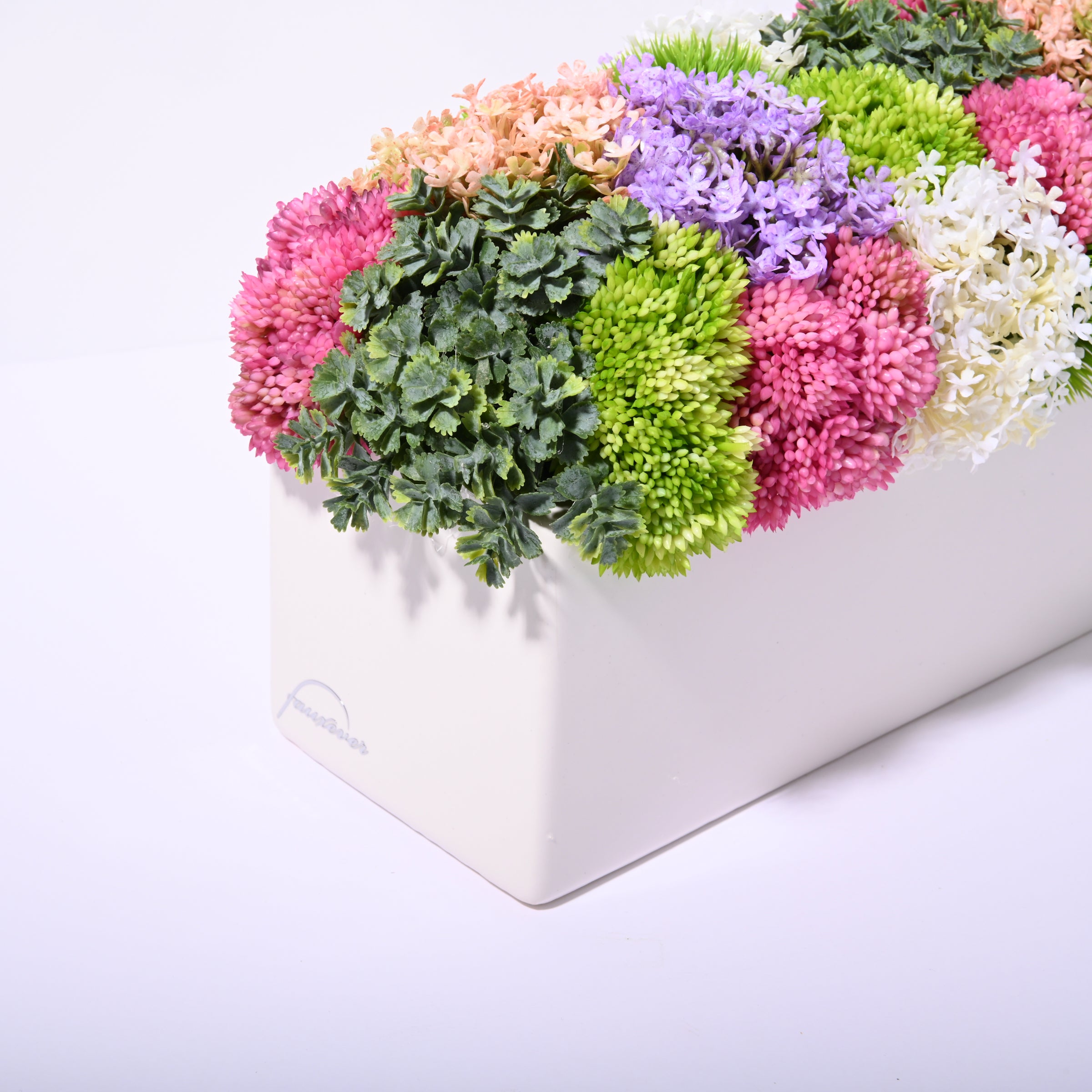 Slim Sedum - Bright