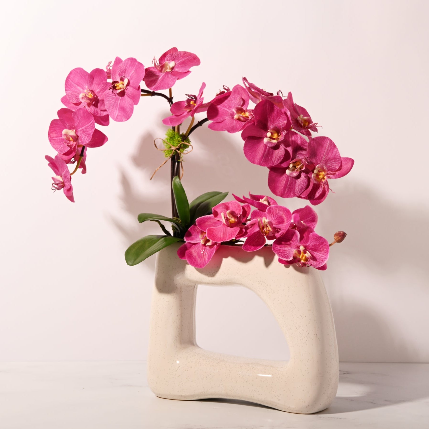 Architectural Orchid