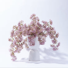 Load image into Gallery viewer, Weeping Laurel in Pedestal Vase