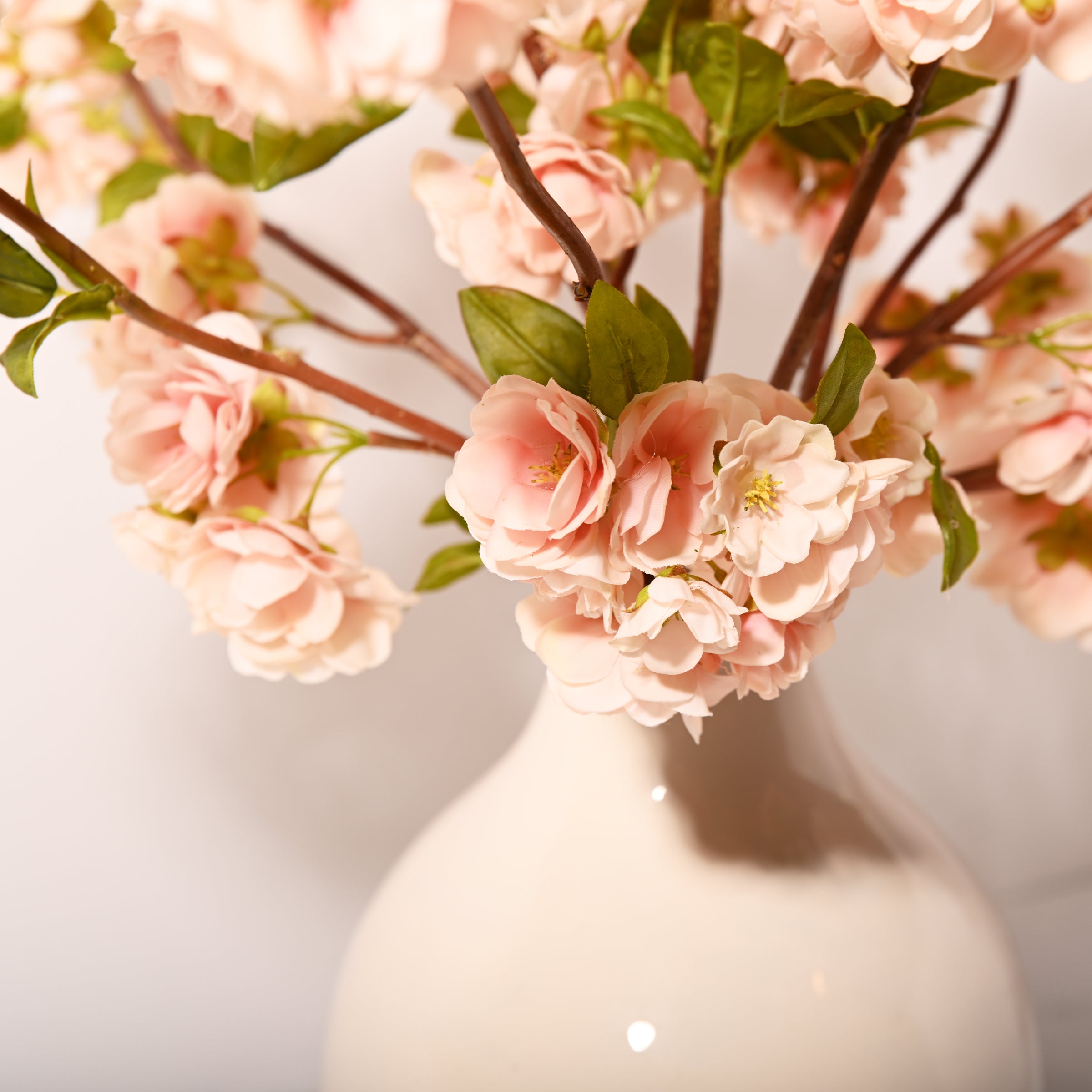 Apple Blossoms in Bulb Vase
