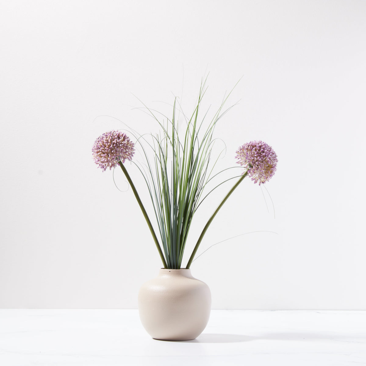 ［新品］SLOTHREAT Allium Longfield Gardens Allium Perennial Garden, 75 Bulbs | Costco