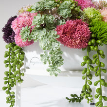 Load image into Gallery viewer, Sedum Plant Stand