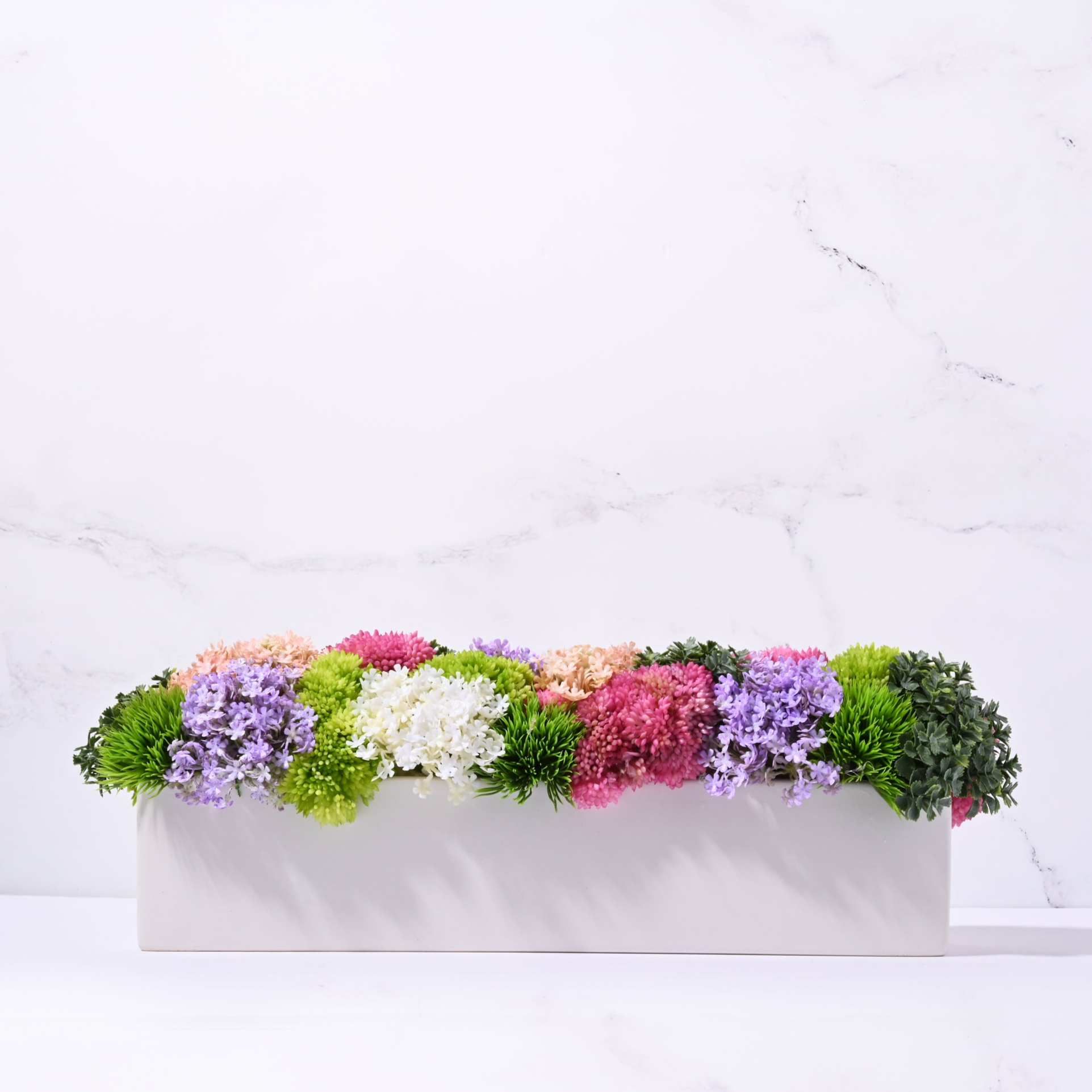 Slim Sedum - Bright