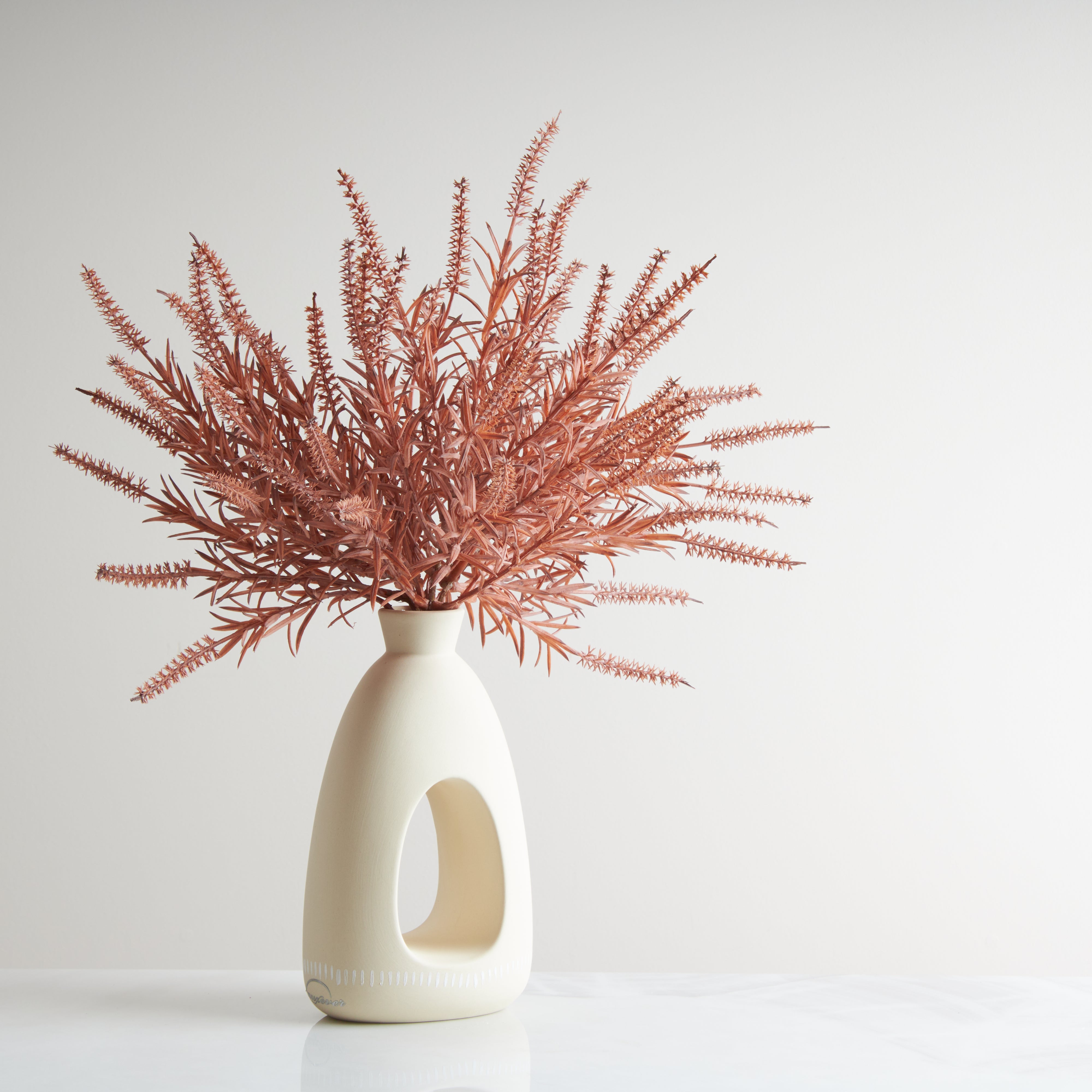 Tavo Astilbe MV