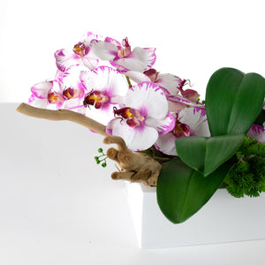 Balco Driftwood Orchid , white/fuschia            item # 8251
