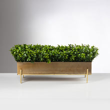 Load image into Gallery viewer, Chic Boxwood item # 8205