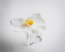 Load image into Gallery viewer, Elegance Collection/ Snow White