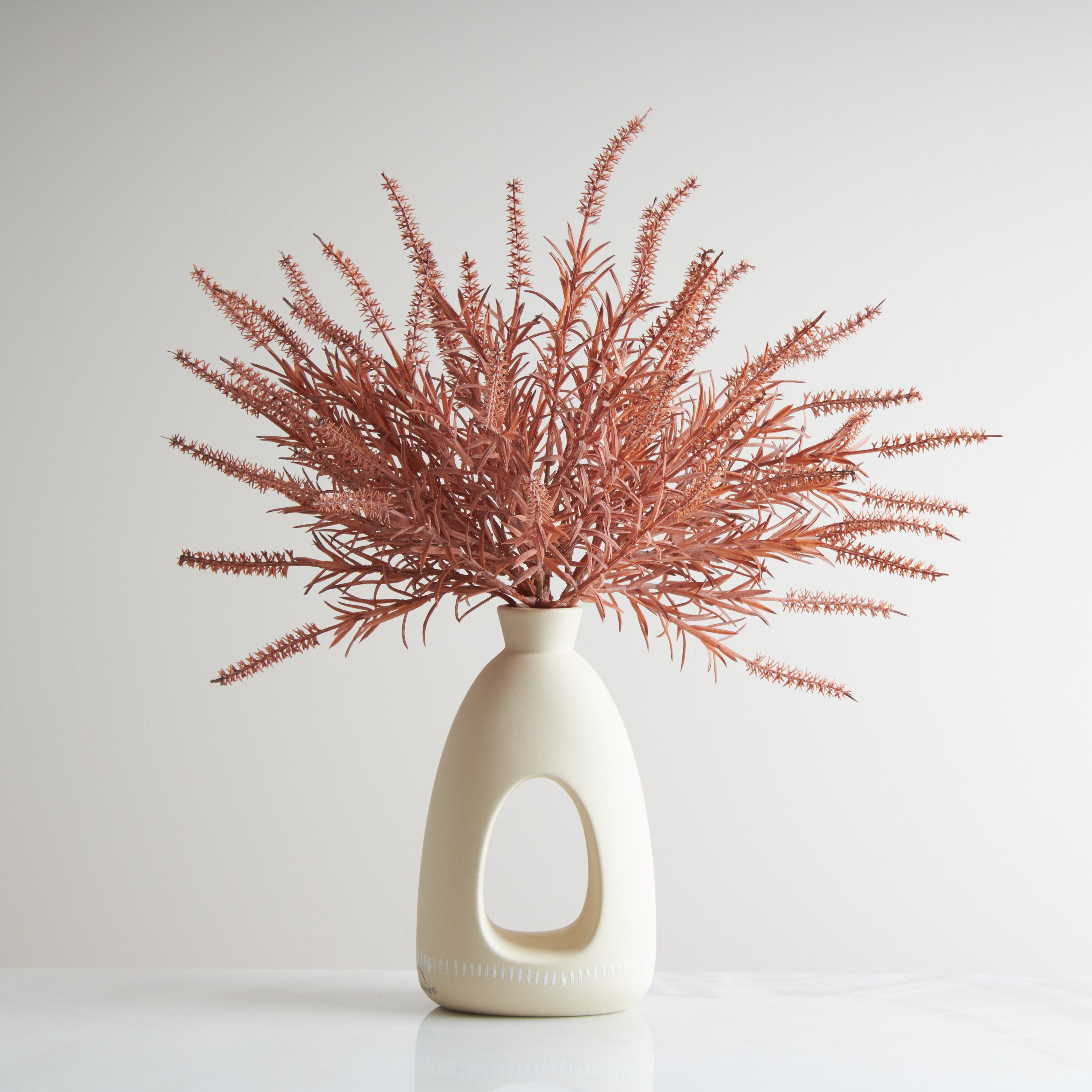 Tavo Astilbe MV