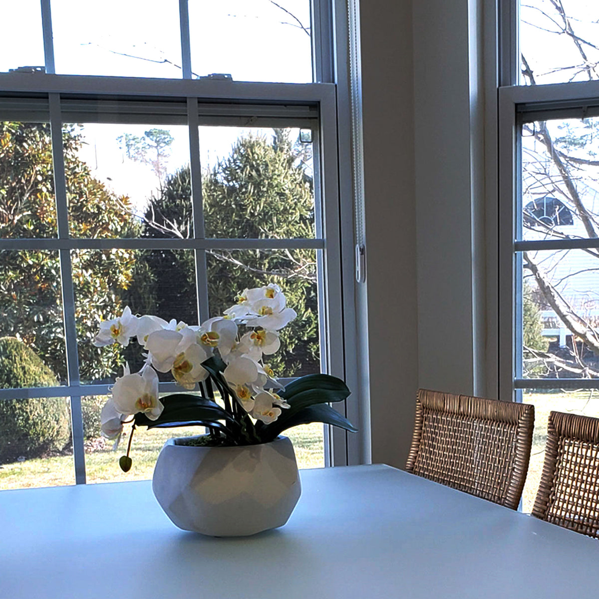 Tabletop Orchid Plant Fauxever Florals