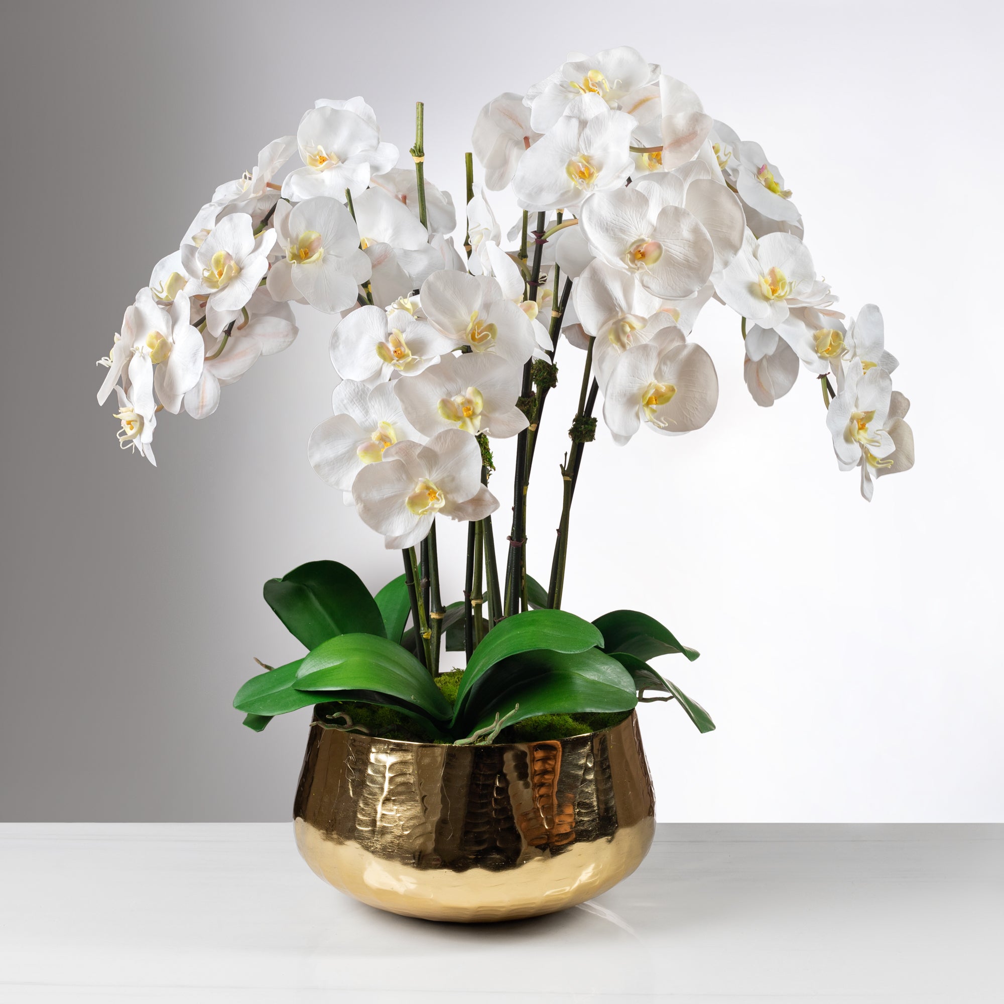Orchid Cascades