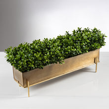 Load image into Gallery viewer, Chic Boxwood item # 8205