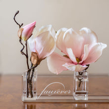 Load image into Gallery viewer, Bloom Collection -CR