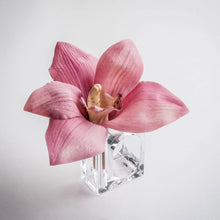 Load image into Gallery viewer, Grace Collection-MV