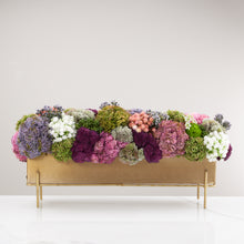 Load image into Gallery viewer, Enduring Garden item # 8247