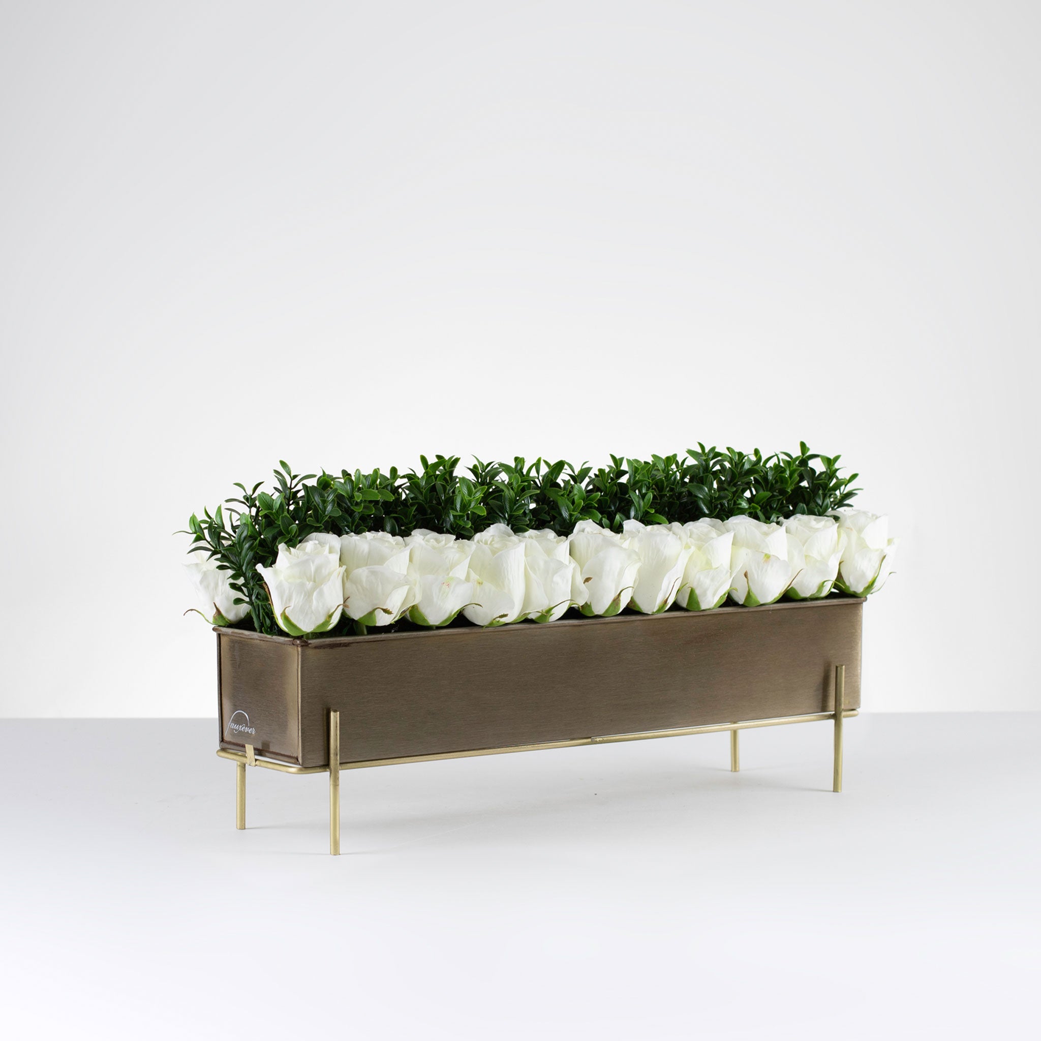 English Garden Rose-Cream