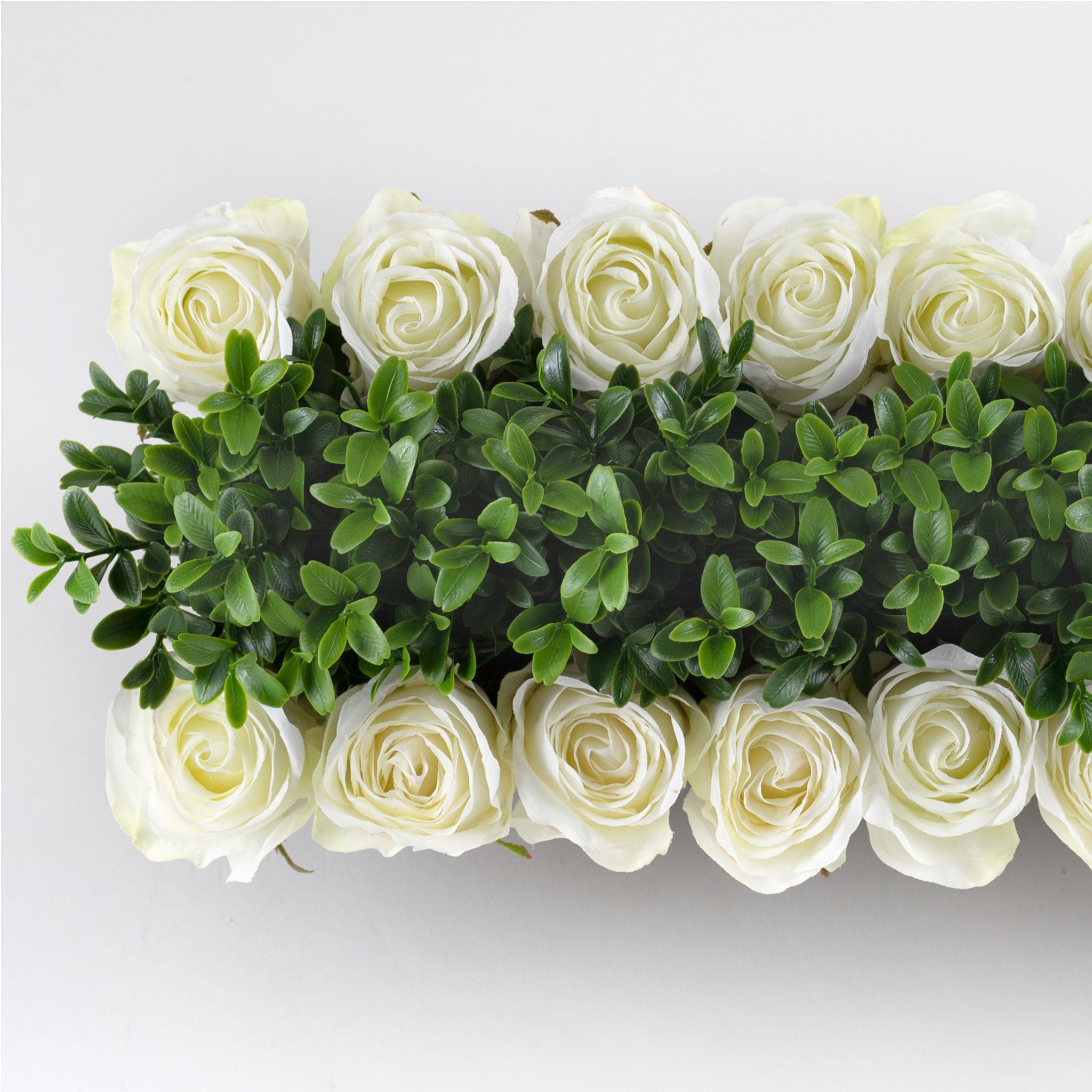 English Garden Rose-Cream