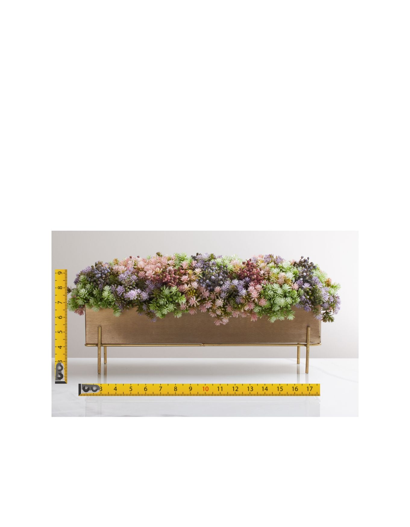 Baby Succulent in Gold Base