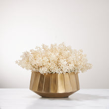Load image into Gallery viewer, Seeded Clusters in Regalia Vase-Cream