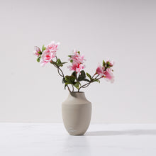 Load image into Gallery viewer, Petite Bush Roses in Milan Vase