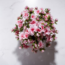 Load image into Gallery viewer, Petite Rose Bowl