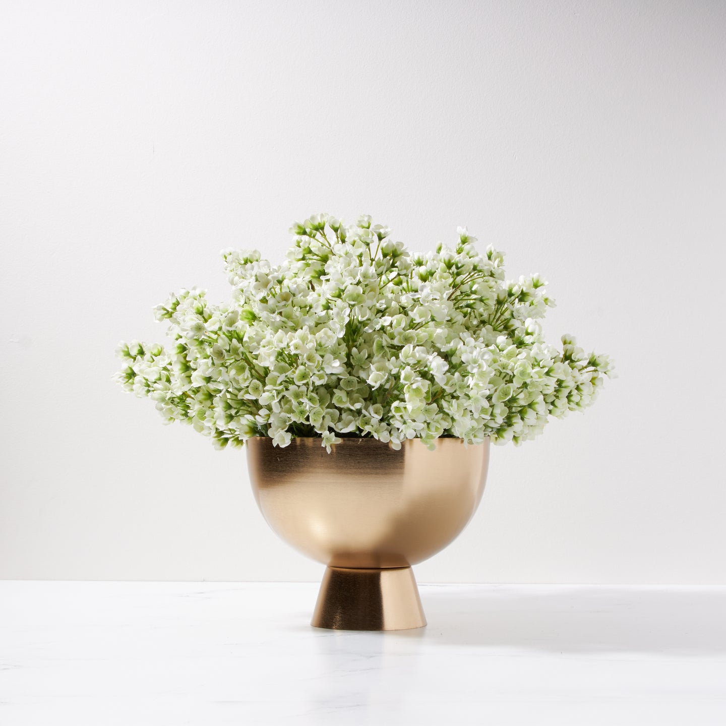 Waxflower in Footed Bowl-WH