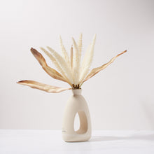 Load image into Gallery viewer, Foxtail in Tavo Vase-CR