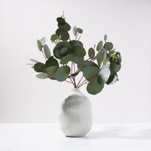 Load image into Gallery viewer, Eucalyptus in Lali Vase