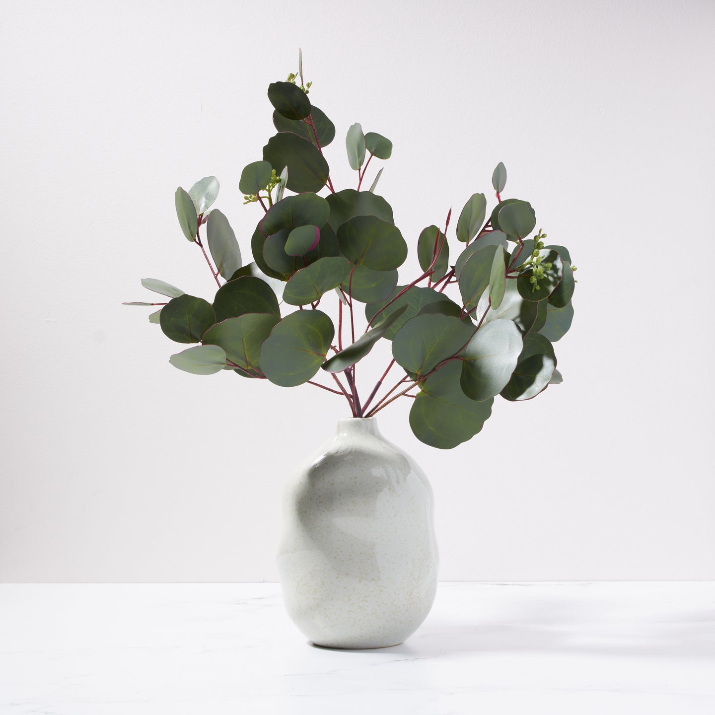 Eucalyptus in Lali Vase