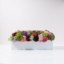 Load image into Gallery viewer, Sedum Garden   Item # 836