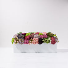 Load image into Gallery viewer, Sedum Garden   Item # 836