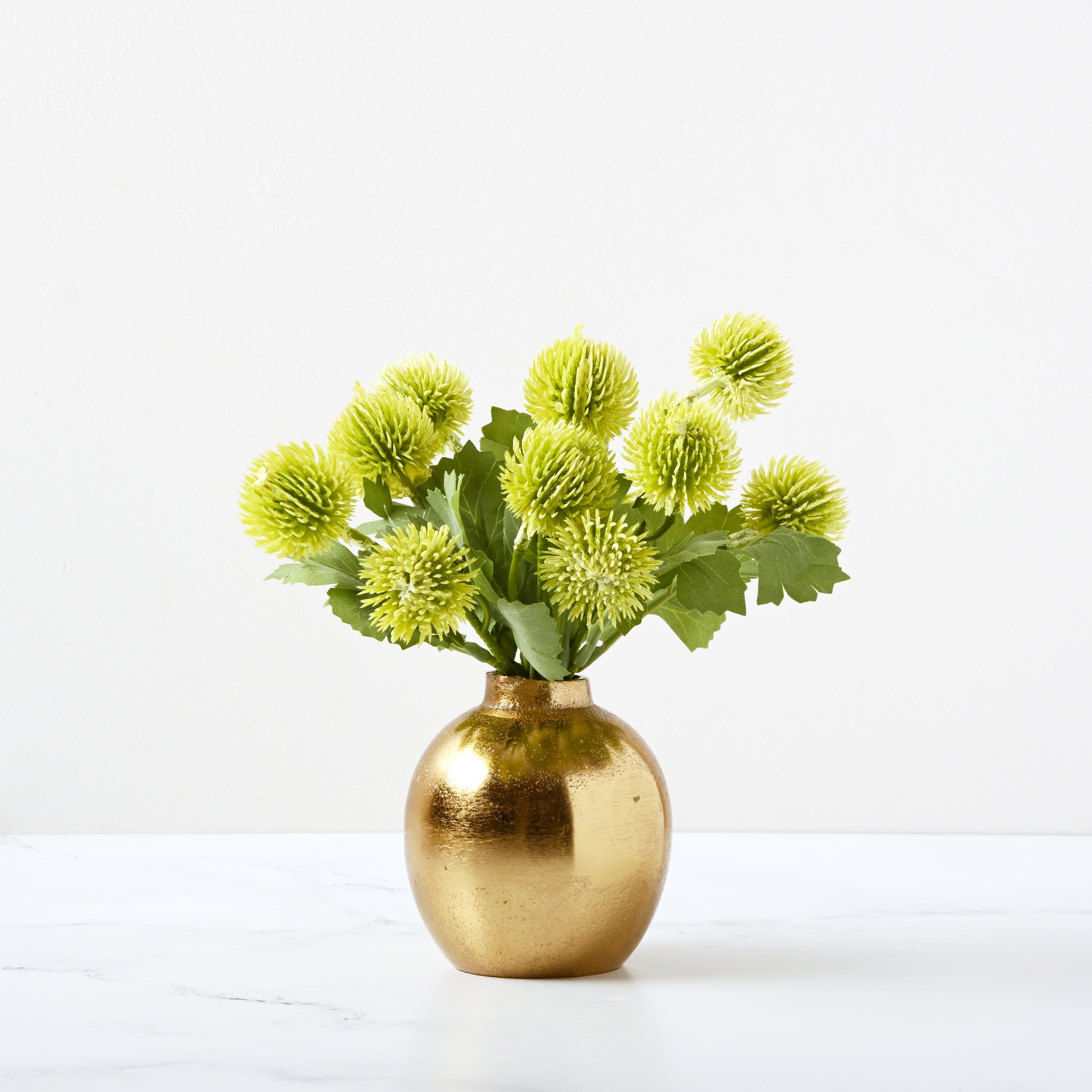 Rondure Thistle