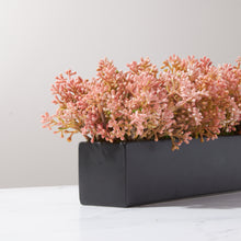 Load image into Gallery viewer, Coral Buds in Black Pot