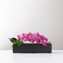 Load image into Gallery viewer, Urban Orchid- FU