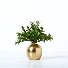 Load image into Gallery viewer, Rondure Boxwood