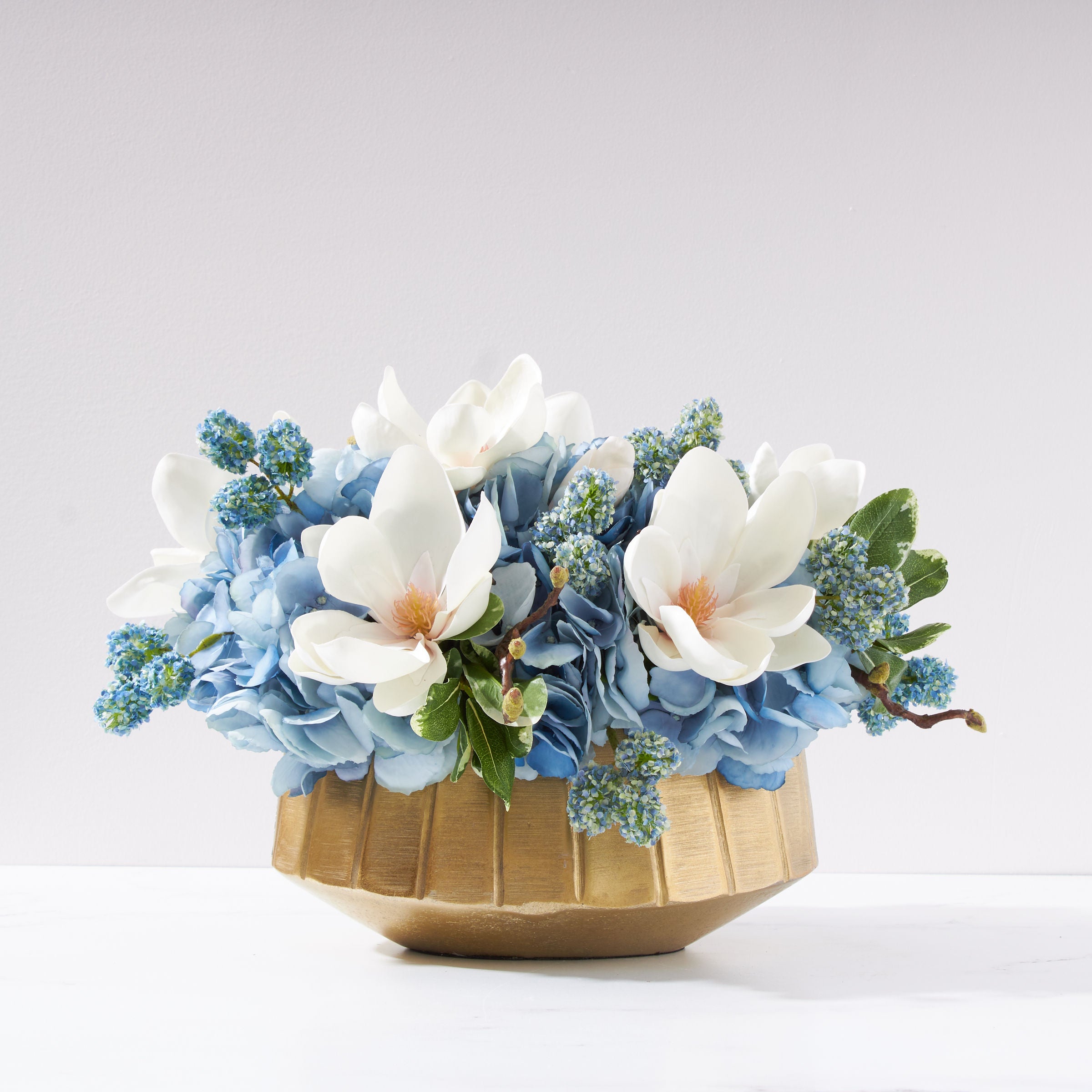 Regal Blue Blooming Magnolia