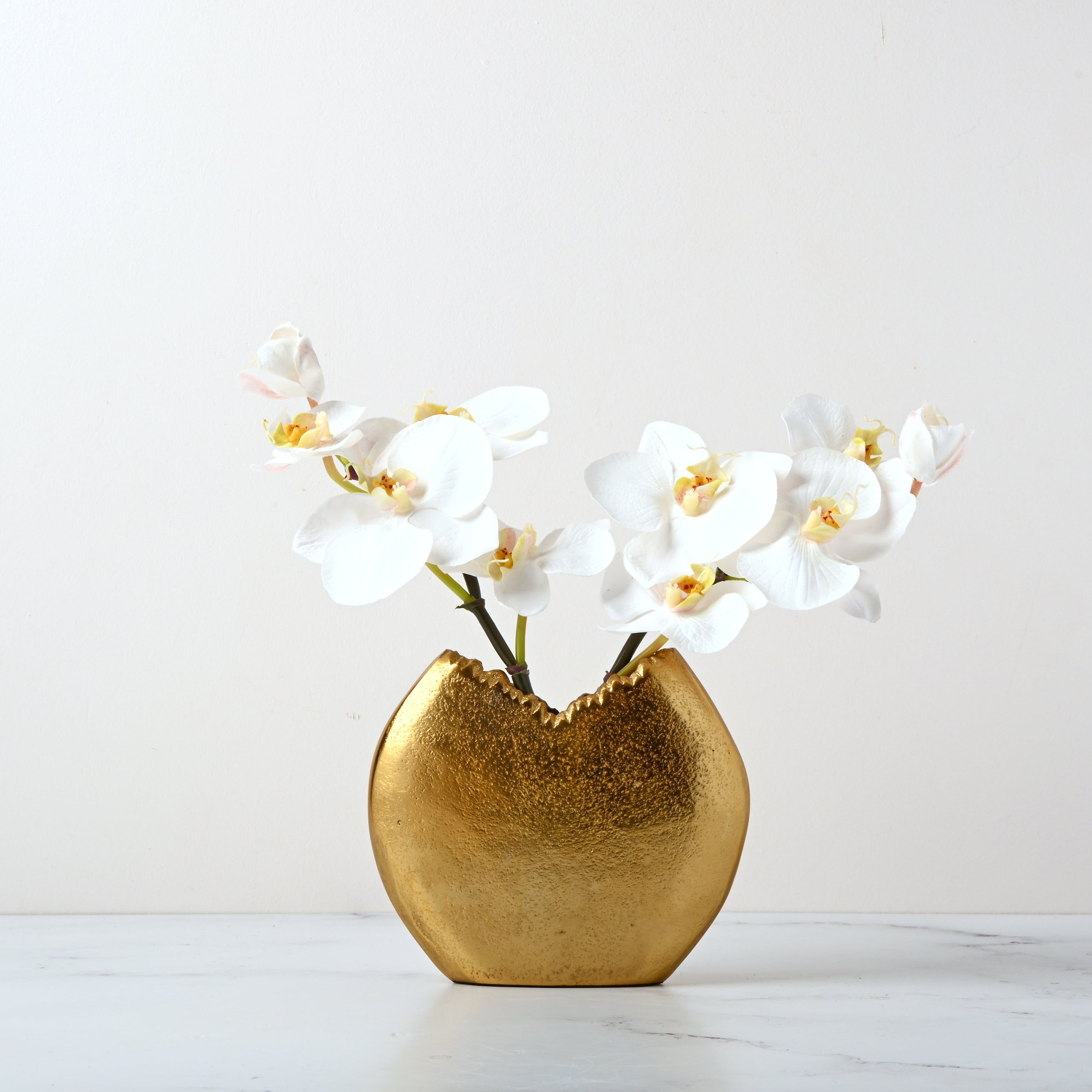 Mini Moon Orchids
