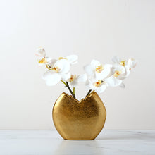Load image into Gallery viewer, Mini Moon Orchids-Wh