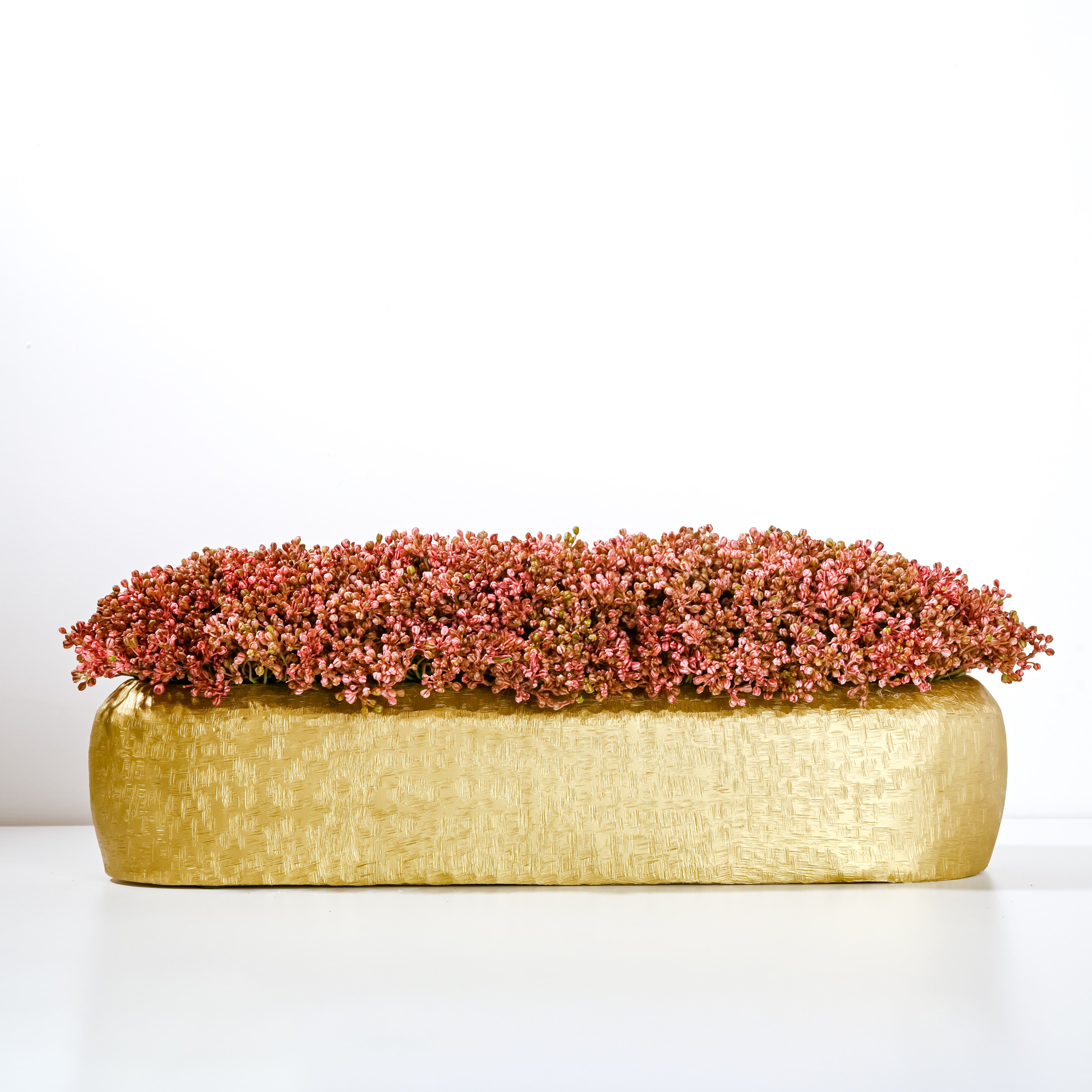 Radiance Stonecrop 24”